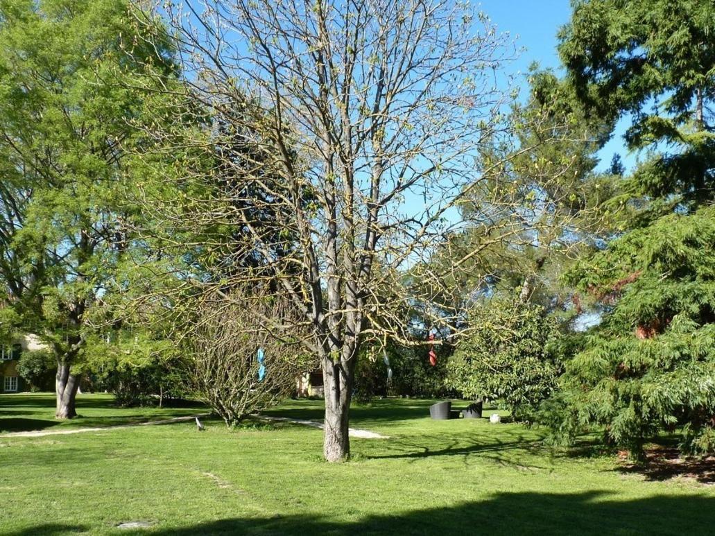 Domaine De Rhodes B&B Αβινιόν Εξωτερικό φωτογραφία